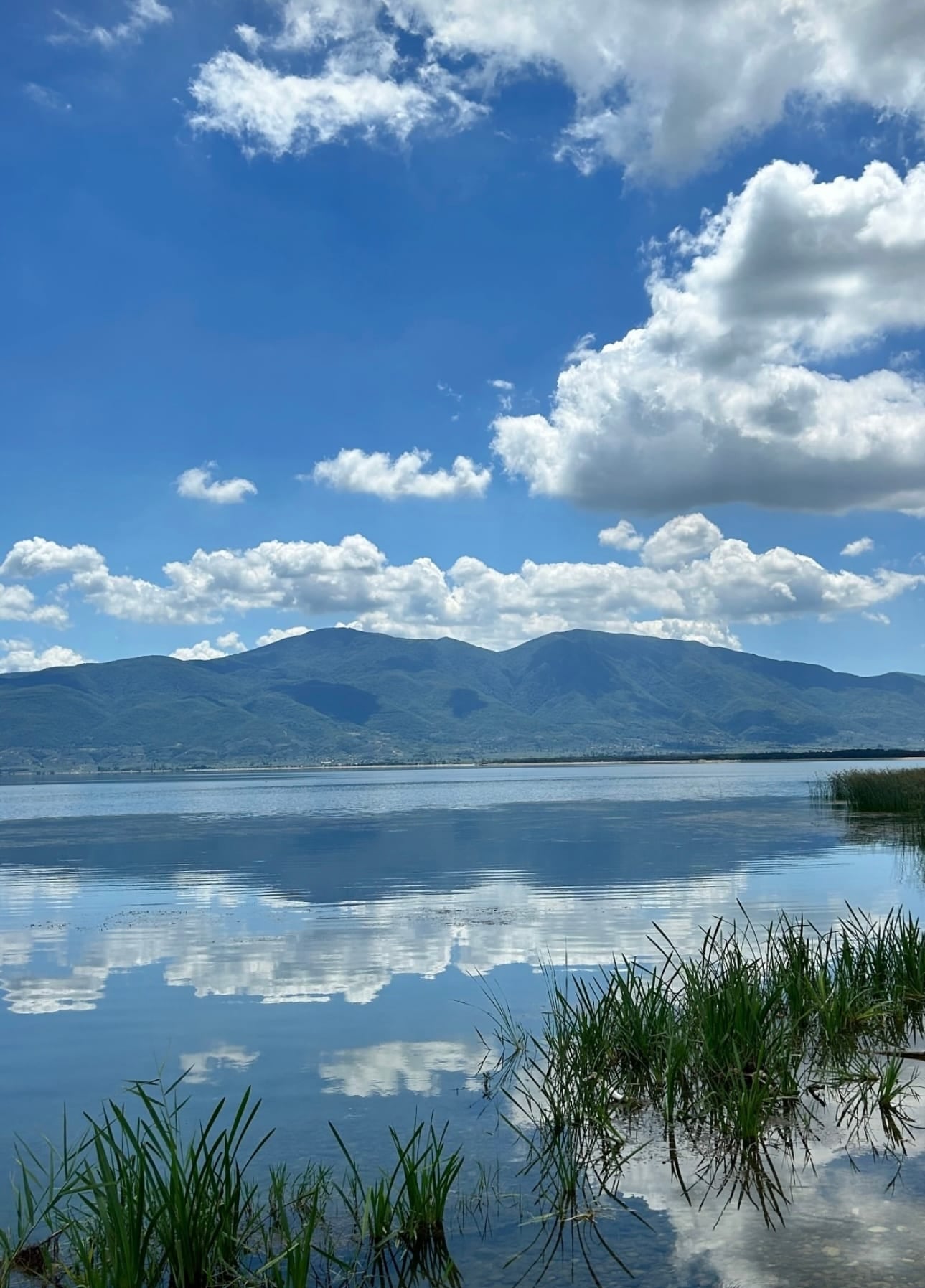 Lake Inn — 8
